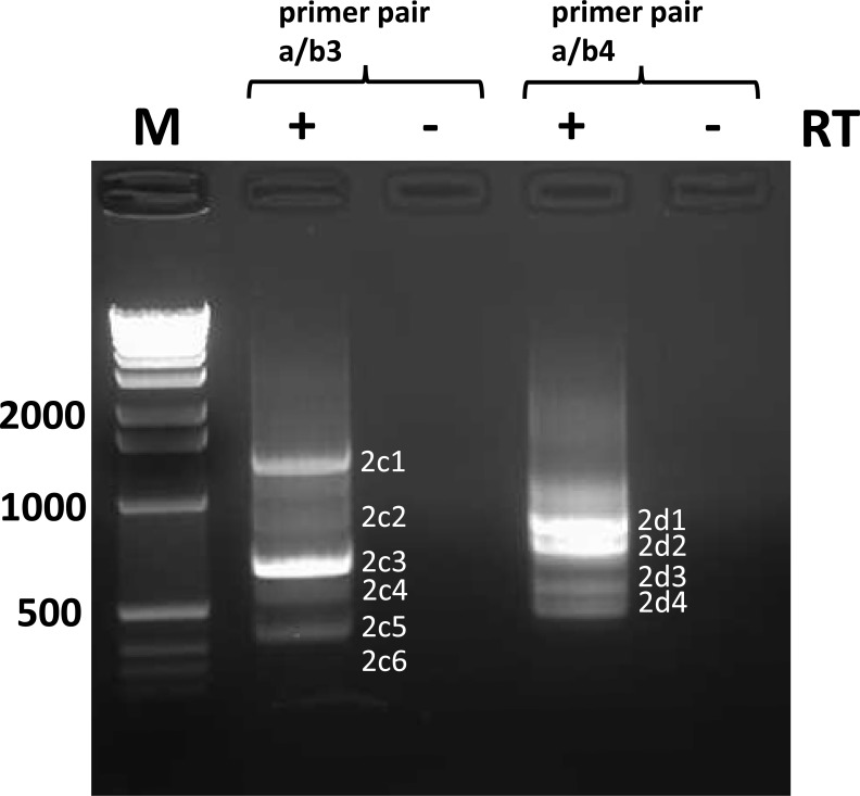 Fig 9