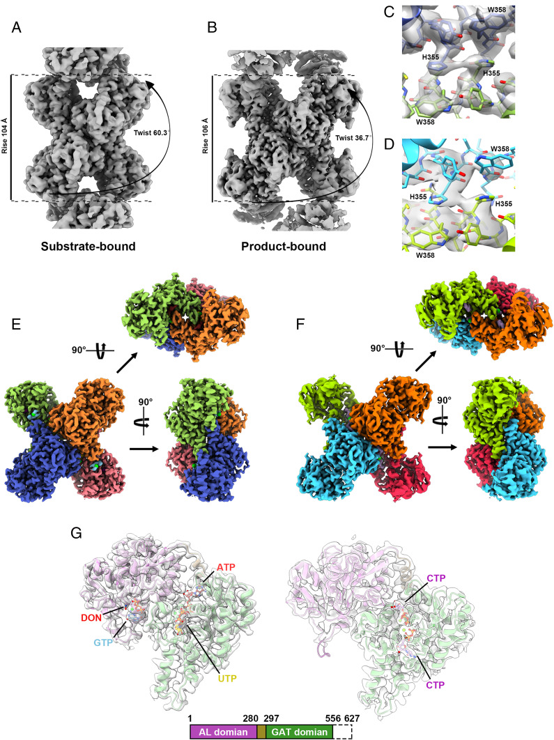 Fig. 1.