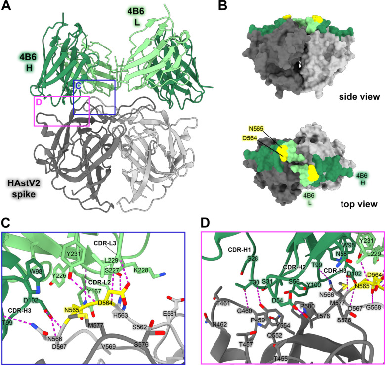 Figure 3: