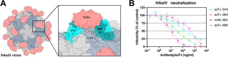 Figure 5: