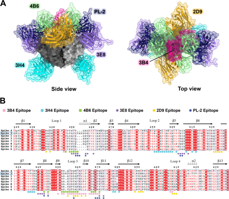 Figure 6: