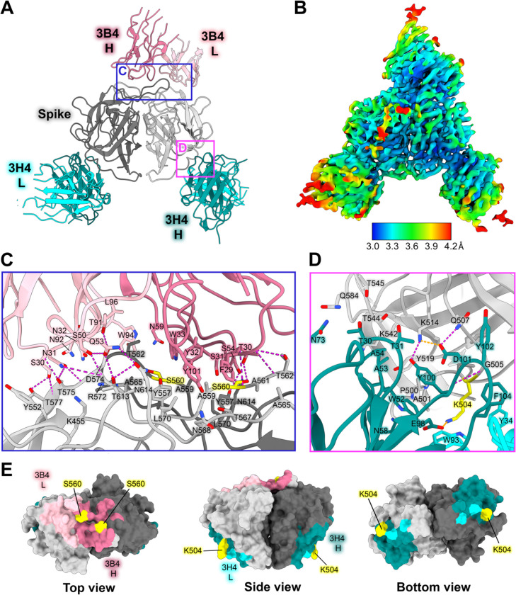 Figure 4: