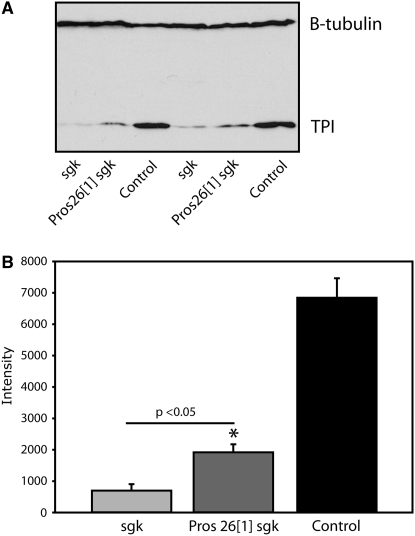 Figure 5.—