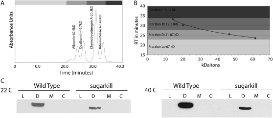 Figure 2.—