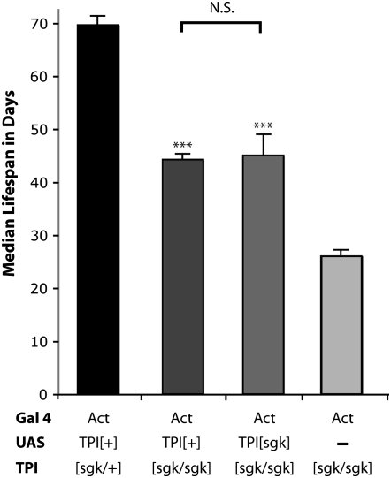 Figure 6.—