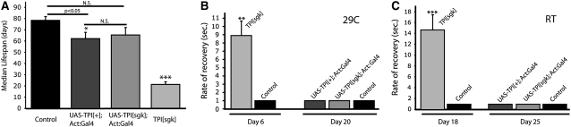 Figure 1.—