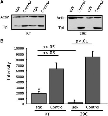 Figure 3.—