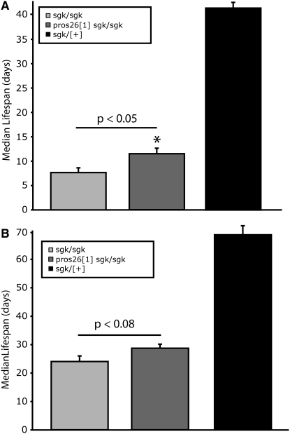 Figure 4.—