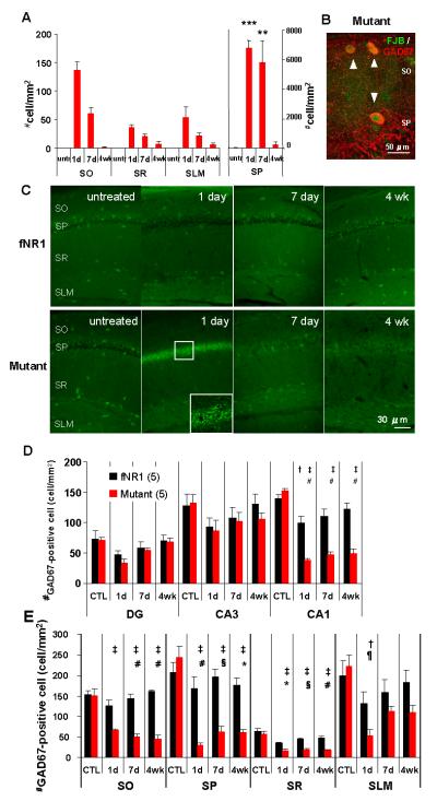 FIG. 7