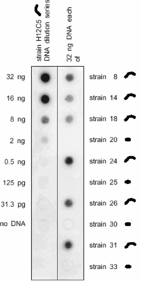 FIG. 5.