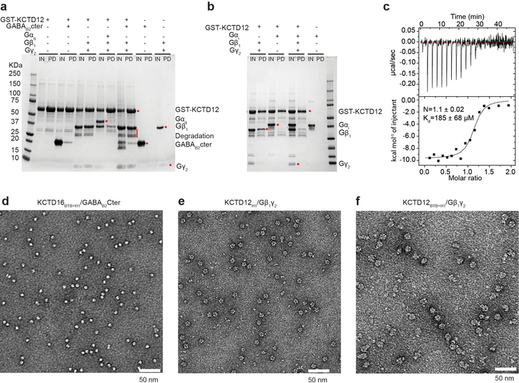 Extended Data Figure 3 |