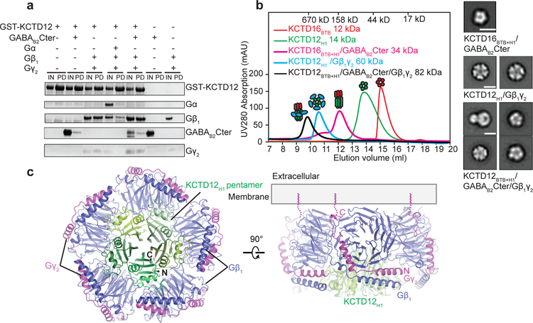 Figure 2 |