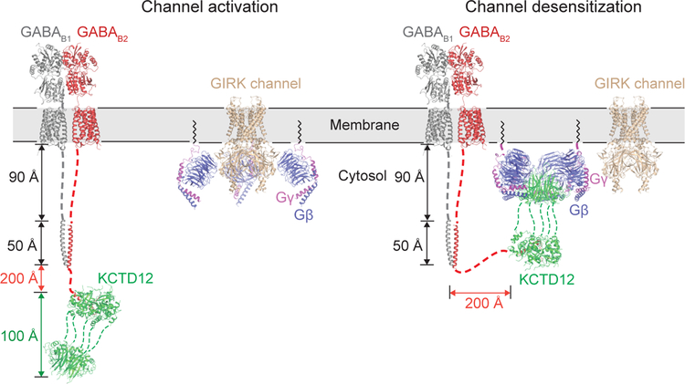 Figure 4 |