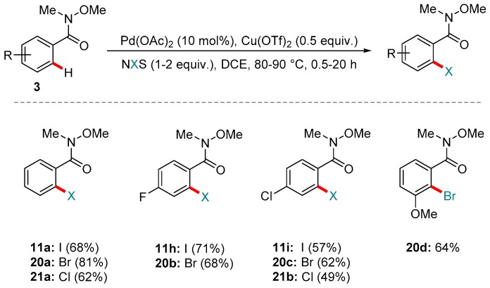 Scheme 10