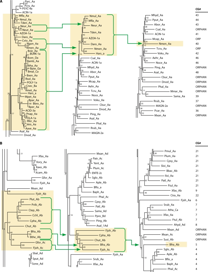 FIG. 4.