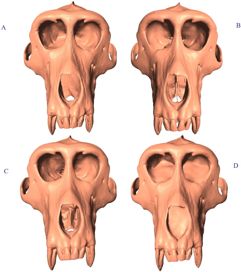 Fig 1