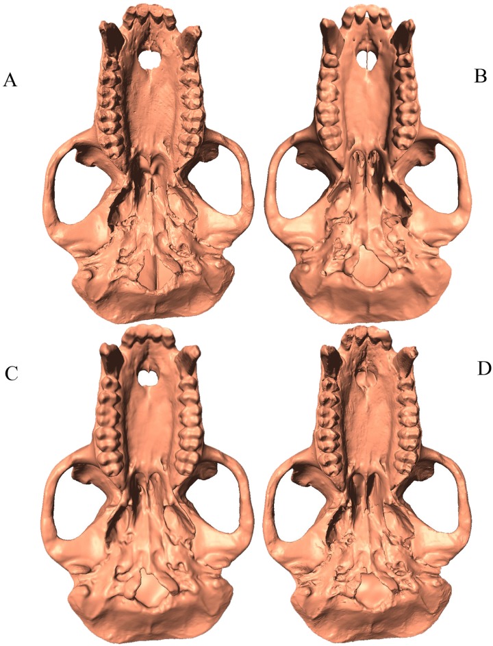 Fig 2