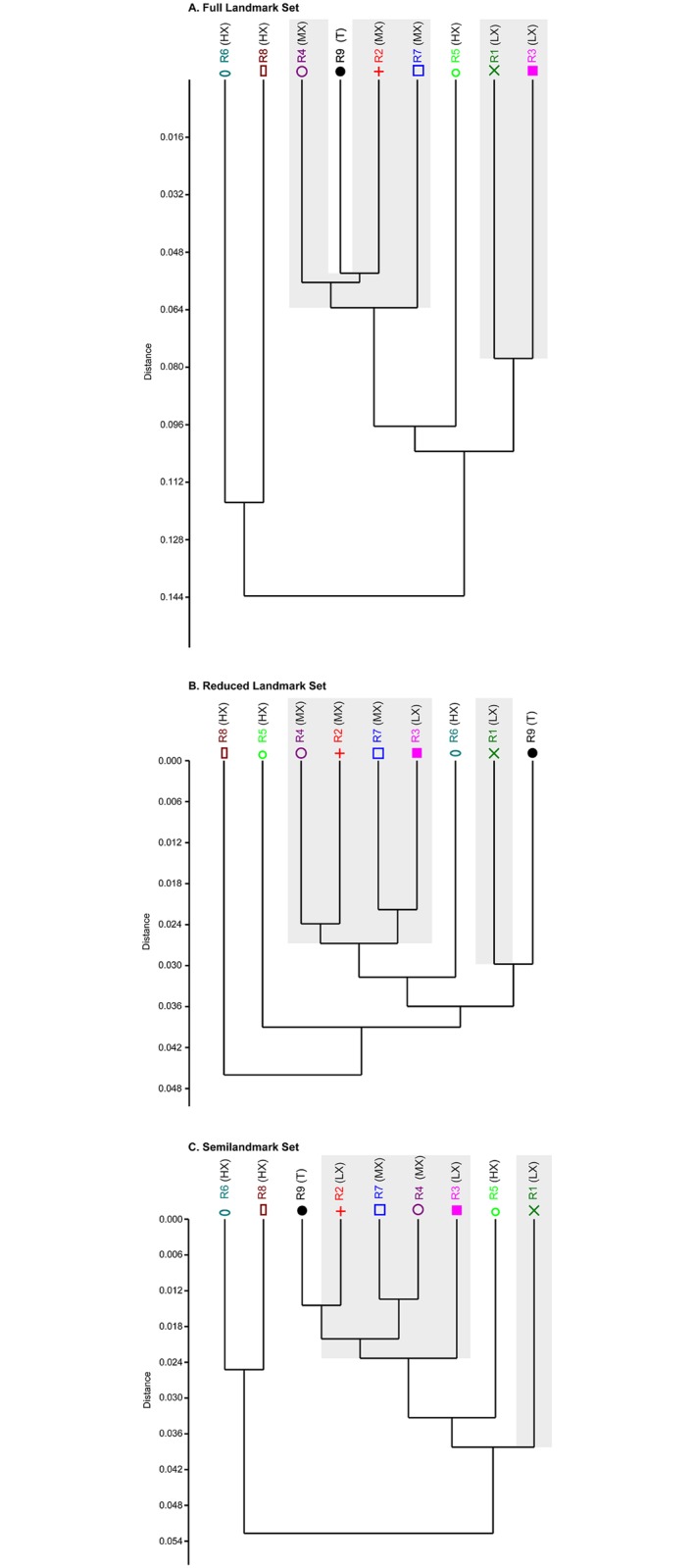 Fig 10