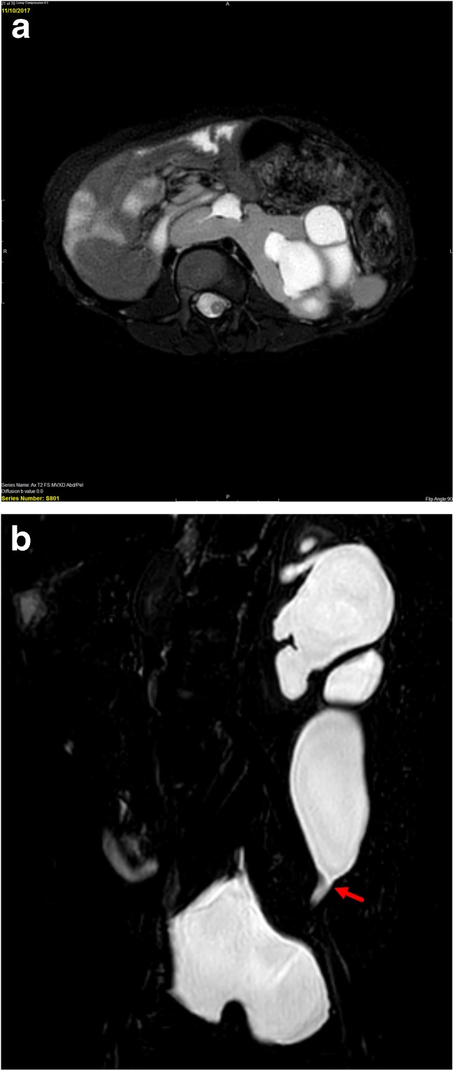 Fig. 4