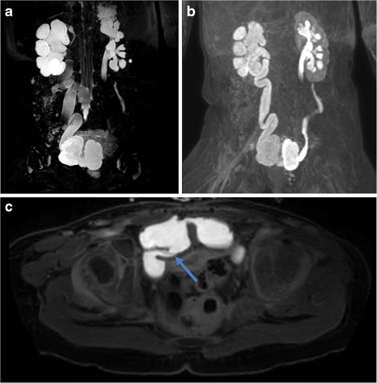 Fig. 7