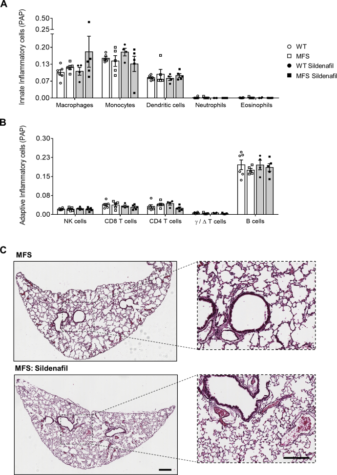 Supplemental Figure 4