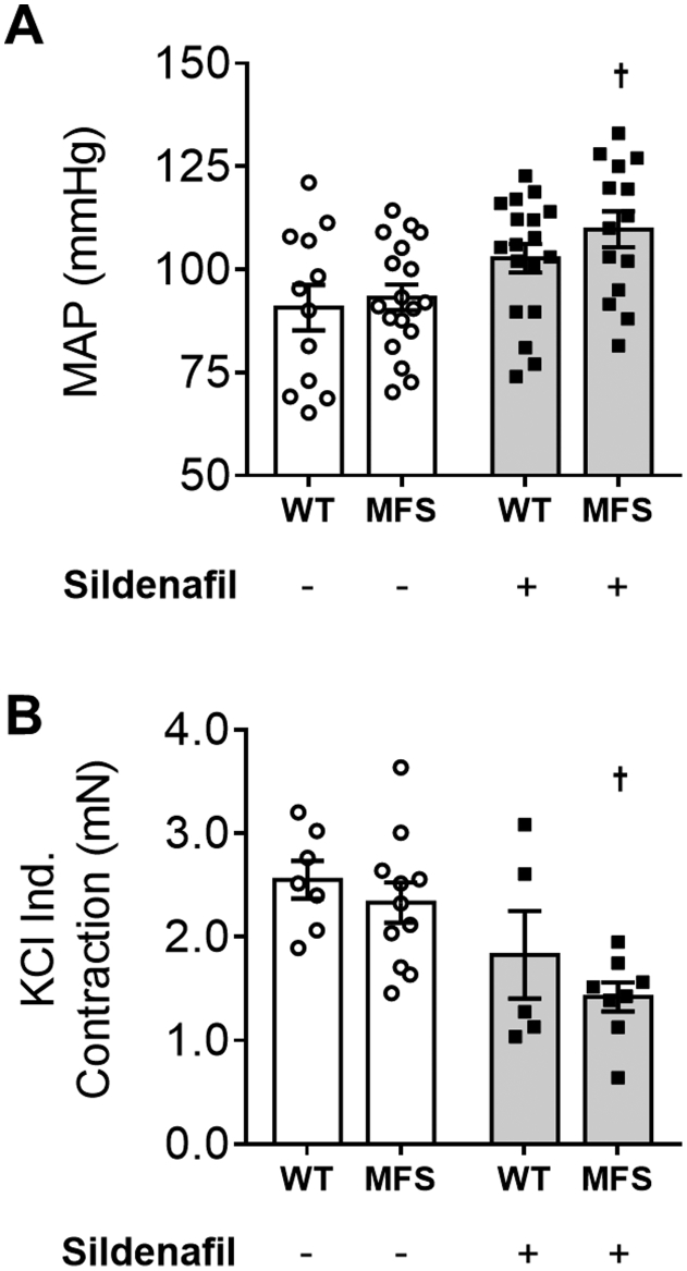 Supplemental Figure 2