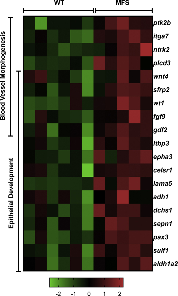 Supplemental Figure 3