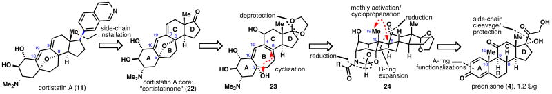 Scheme 1