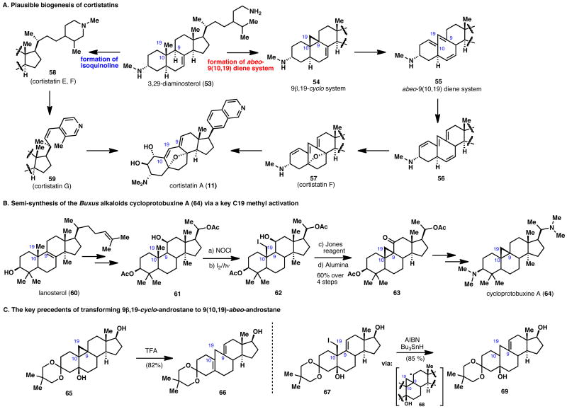 Scheme 9