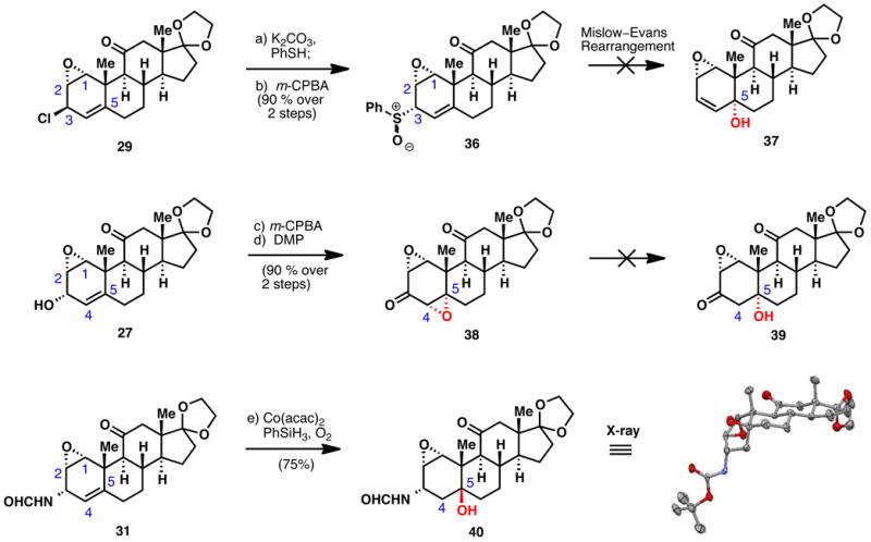 Scheme 6