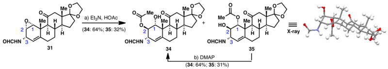 Scheme 5