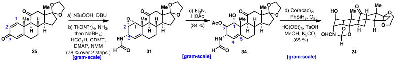 Scheme 8