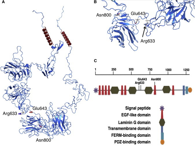 Figure 3