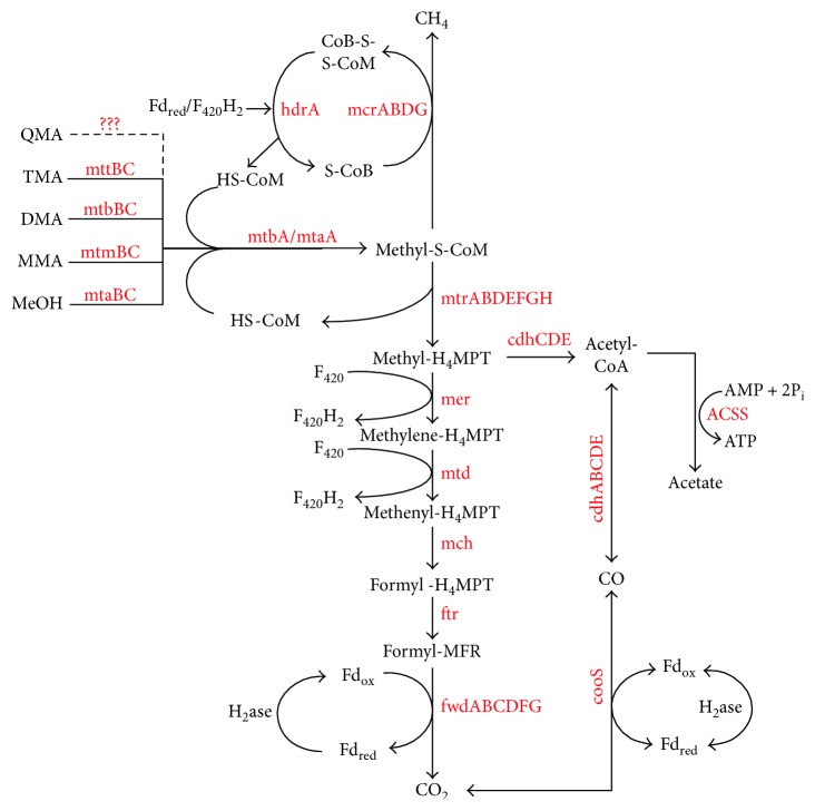 Figure 5