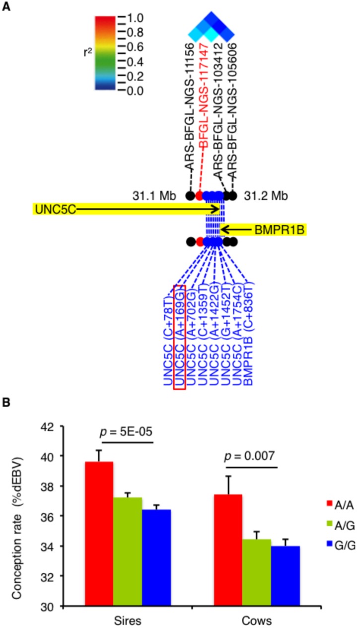 Fig 2