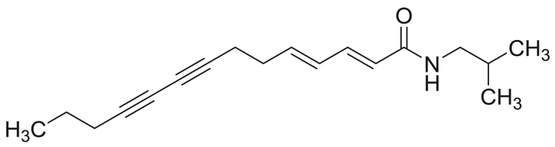 graphic file with name fx21.gif