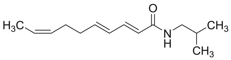 graphic file with name fx5.gif