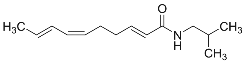 graphic file with name fx8.gif