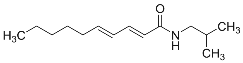 graphic file with name fx11.gif