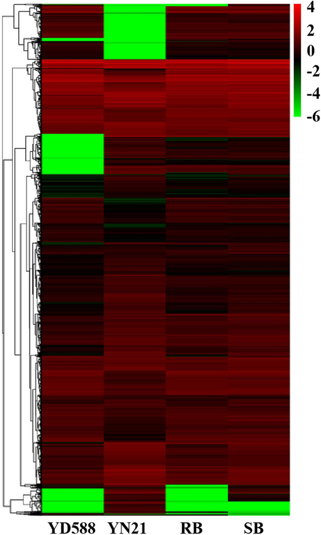 FIGURE 5