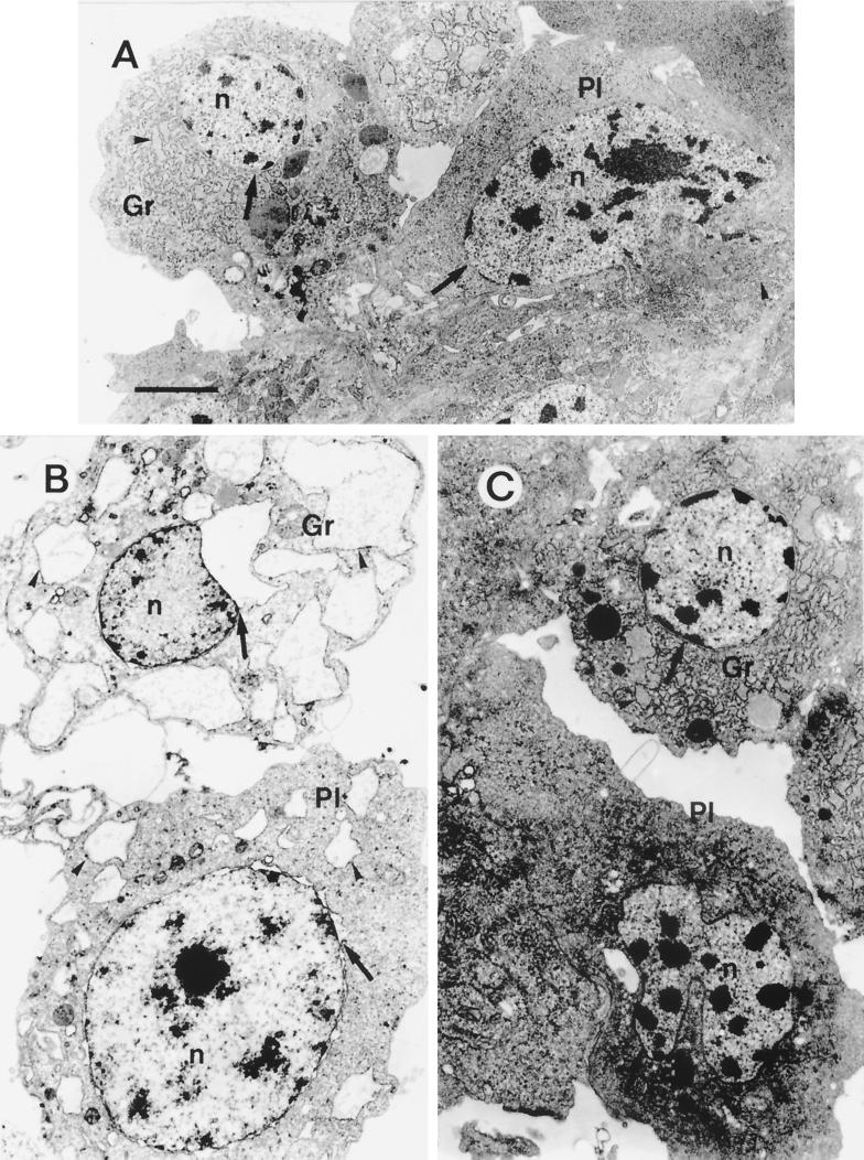 FIG. 5