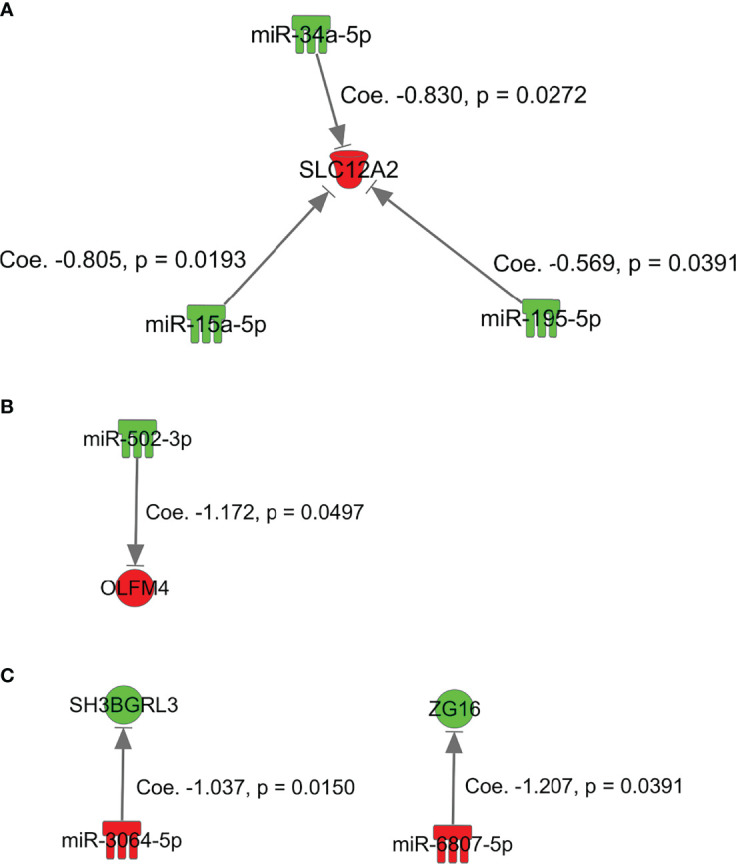 Figure 3