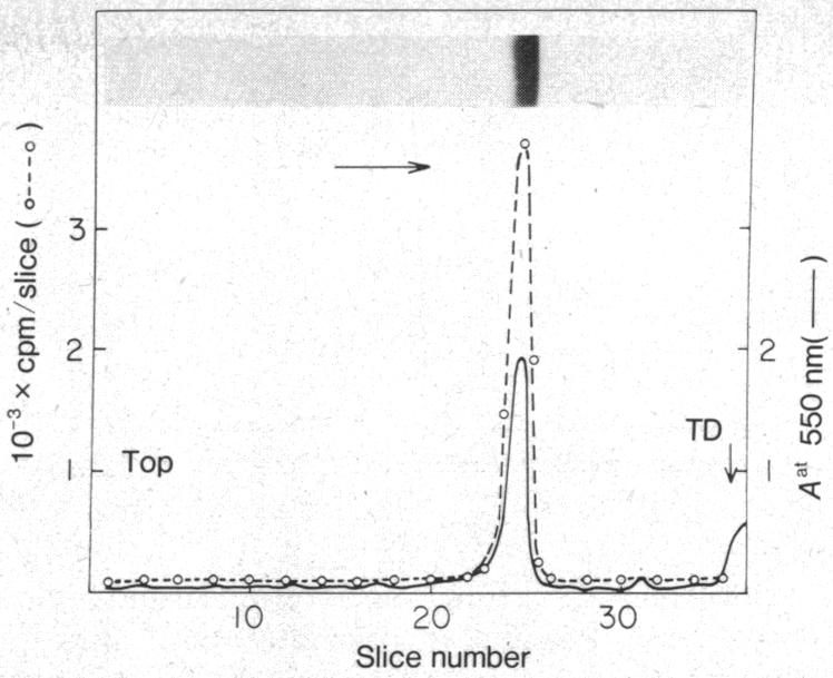 graphic file with name pnas00032-0513-a.jpg