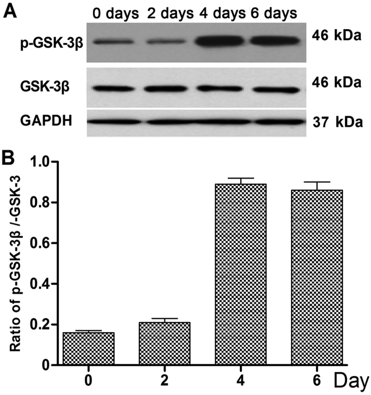 Figure 4.