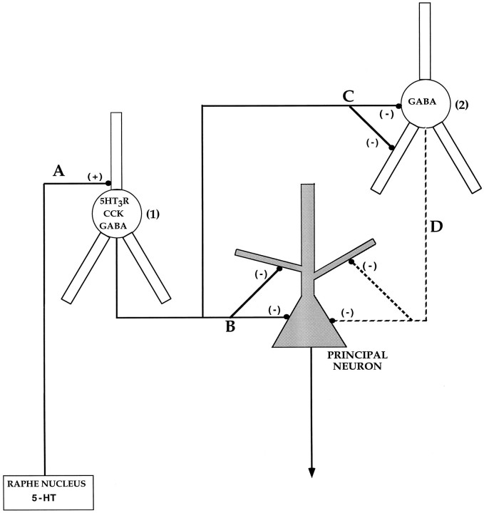 Fig. 9.