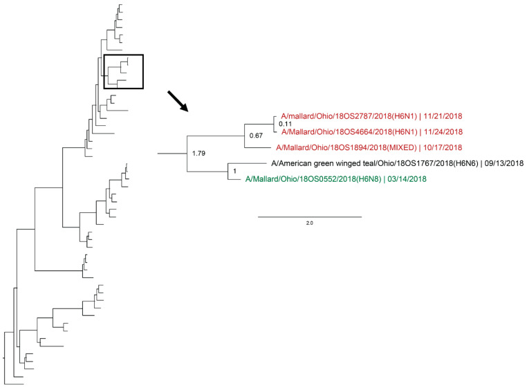 Figure 7