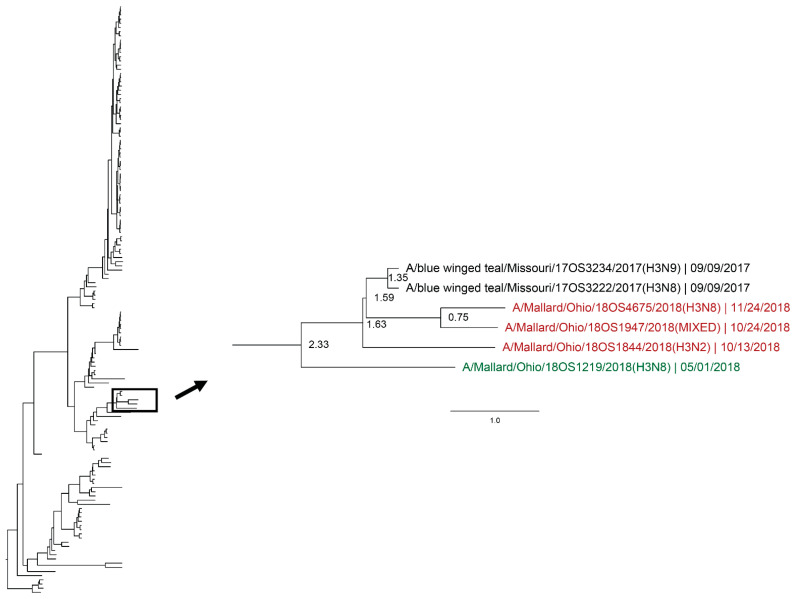 Figure 6