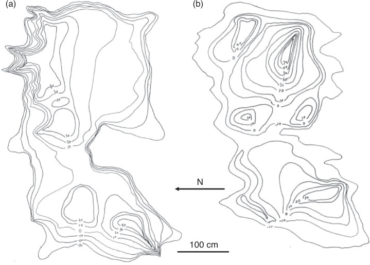 Fig. 3