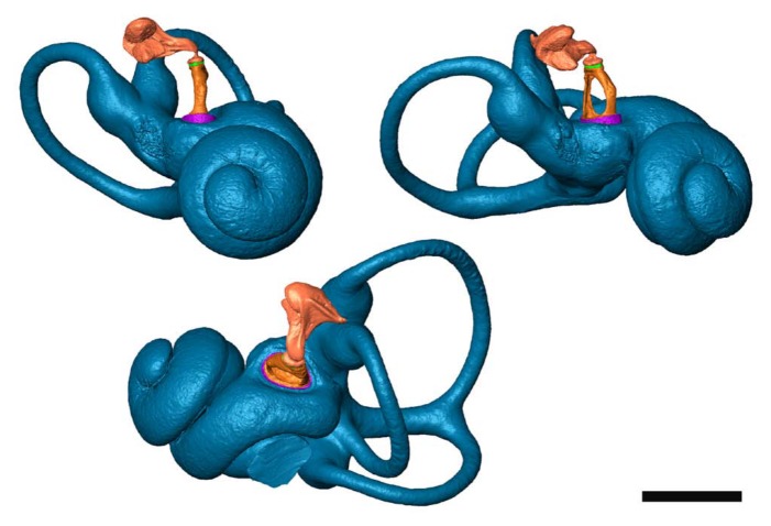 Figure 9.