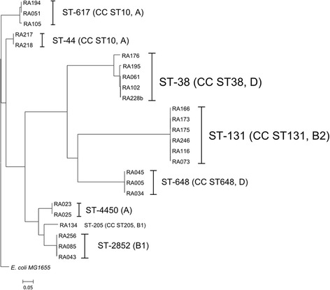 Fig. 1